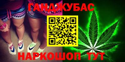 бошки Гагарин