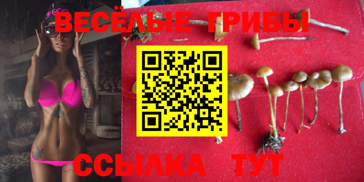 Галлюциногенные грибы Psilocybine cubensis  Вход с VPN  Назарово 